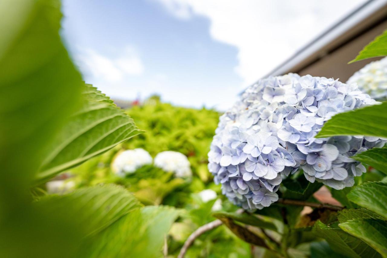Birds 'n' Bloom * Yungaburra